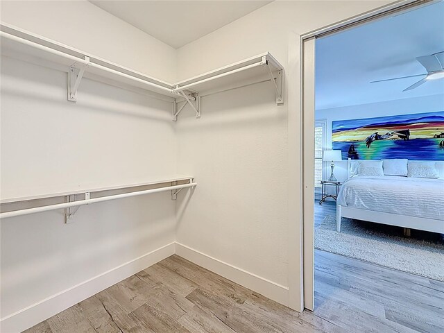 7125 S Shore Dr S, Saint Petersburg, FL 33707 - walk in closet with light wood finished floors