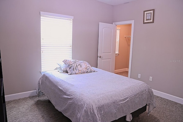 10431 Alcon Blue Dr, Riverview, FL 33578 - photo 11