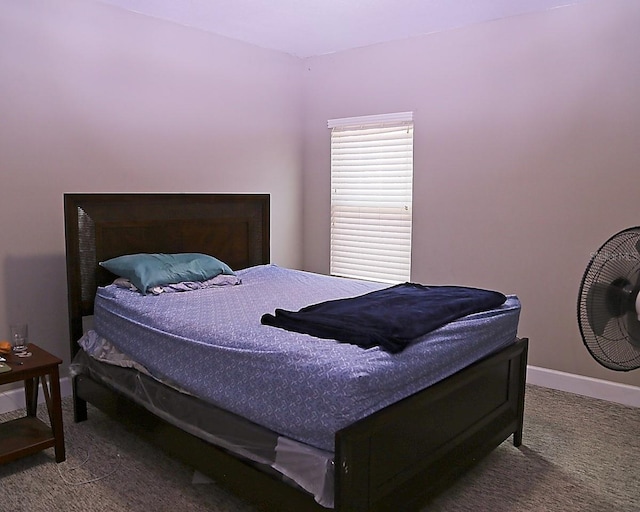 10431 Alcon Blue Dr, Riverview, FL 33578 - photo 12