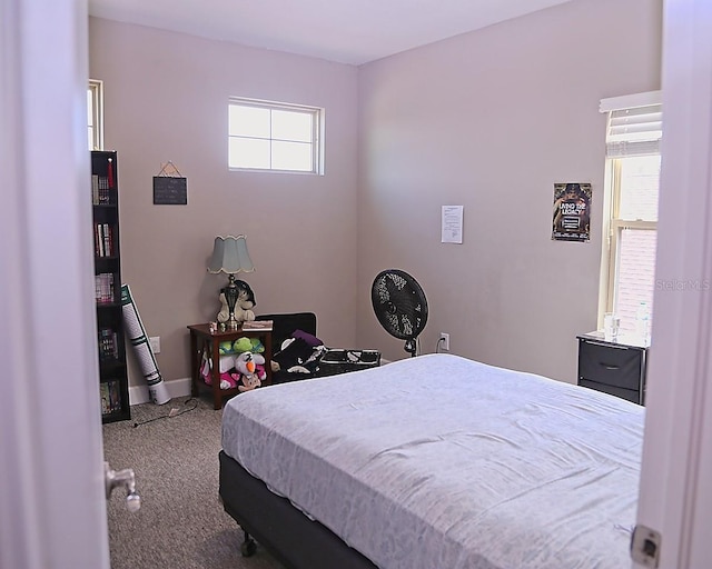 10431 Alcon Blue Dr, Riverview, FL 33578 - photo 13