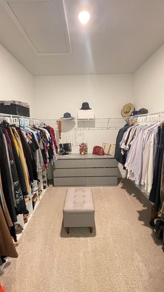 2296 Crossbow St, Clermont, FL 34715 - spacious closet with carpet flooring