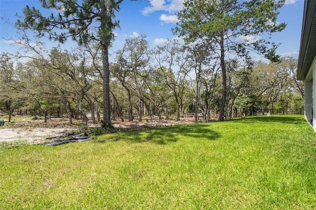 13334 Oldenburg Dr, Hudson, FL 34667 - view of green lawn