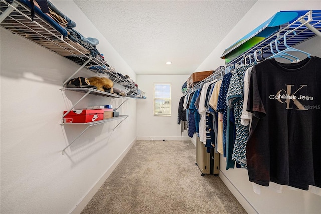 8719 Winning Fields Rd, New Port Richey, FL 34655 - spacious closet featuring light colored carpet