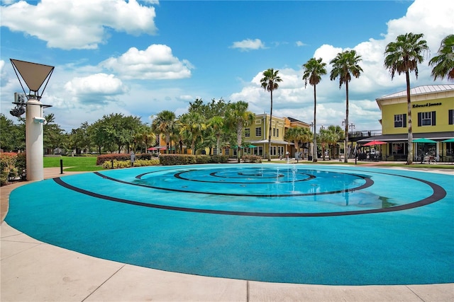 16137 Churchview Dr, Lithia, FL 33547 - view of pool