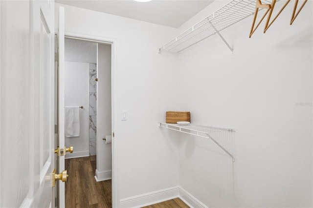 800 S Dakota Ave Unit 204, Tampa, FL 33606 - spacious closet featuring wood finished floors