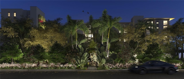 1028 Sunset Point Rd Unit R4, Clearwater, FL 33755 - exterior space