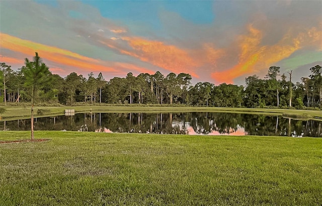 4239 Woodland Retreat Blvd, New Port Richey, FL 34655 - photo 27