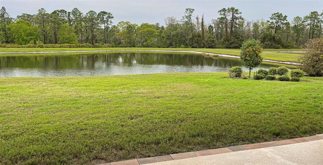 4239 Woodland Retreat Blvd, New Port Richey, FL 34655 - photo 28