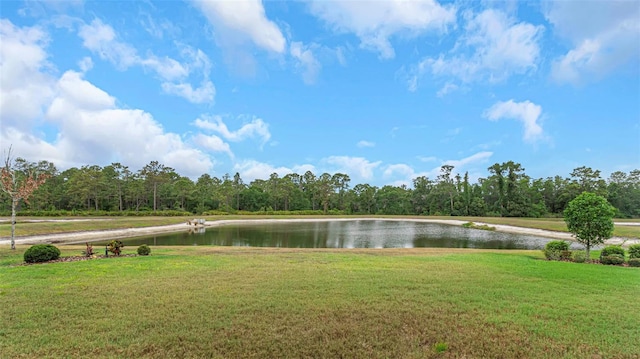 4239 Woodland Retreat Blvd, New Port Richey, FL 34655 - photo 29