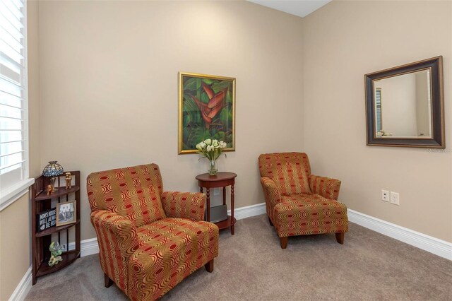 4239 Woodland Retreat Blvd, New Port Richey, FL 34655 - photo 58