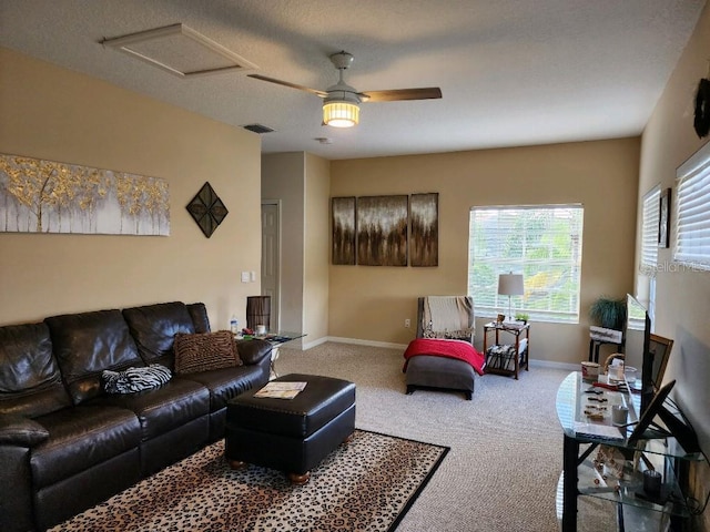 10532 Cory Lake Dr, Tampa, FL 33647 - photo 18
