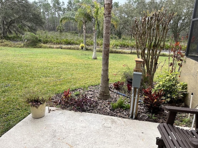 10532 Cory Lake Dr, Tampa, FL 33647 - photo 21