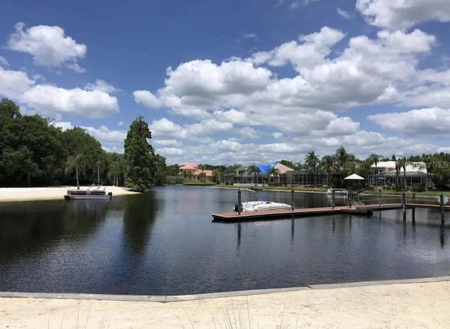 10532 Cory Lake Dr, Tampa, FL 33647 - photo 35