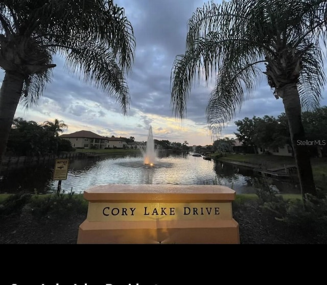 10532 Cory Lake Dr, Tampa, FL 33647 - photo 36