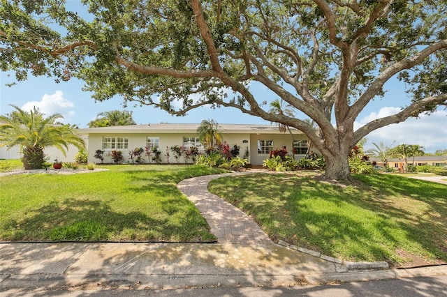 3966 High Bluff Dr, Largo, FL 33770 - ranch-style home with stucco siding and a front yard