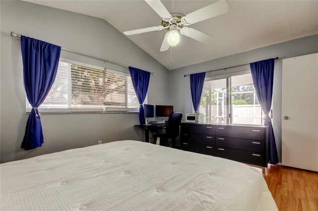 11641 Branch Mooring Dr, Tampa, FL 33635 - bedroom with multiple windows, lofted ceiling, wood finished floors, and ceiling fan