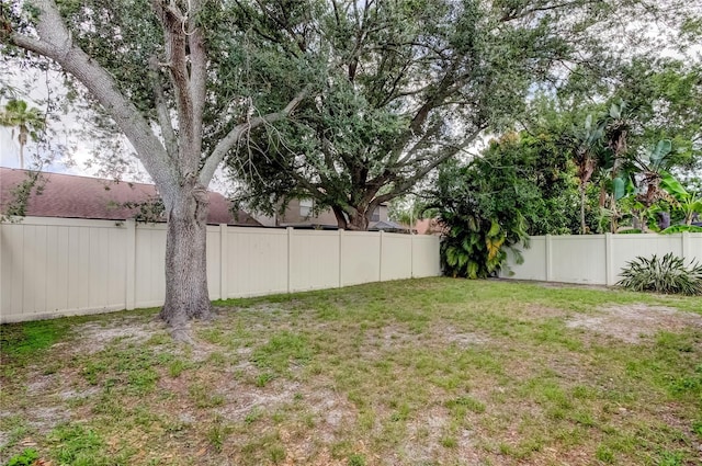 11641 Branch Mooring Dr, Tampa, FL 33635 - view of yard