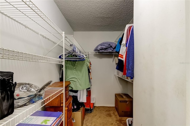 11641 Branch Mooring Dr, Tampa, FL 33635 - walk in closet featuring carpet