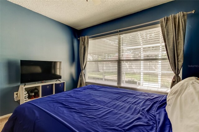 11641 Branch Mooring Dr, Tampa, FL 33635 - bedroom featuring a textured ceiling
