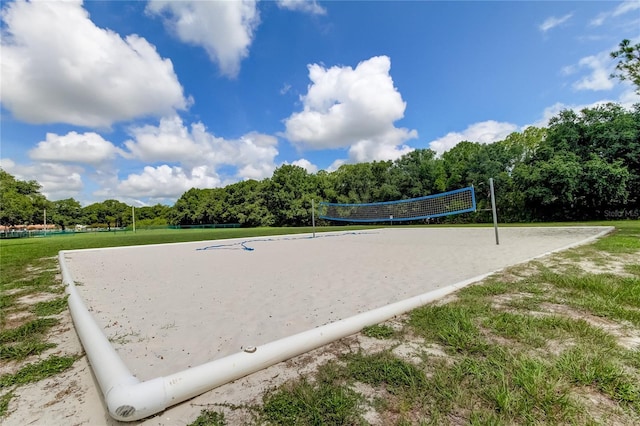 11641 Branch Mooring Dr, Tampa, FL 33635 - view of community featuring volleyball court and a yard