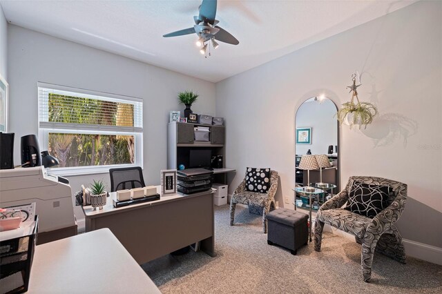 1156 2nd Ave S, Tierra Verde, FL 33715 - photo 25