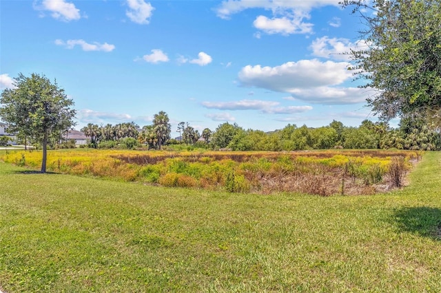 10945 High Noon Trl, Parrish, FL 34219 - view of green lawn