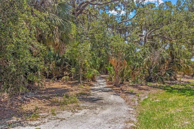 10945 High Noon Trl, Parrish, FL 34219 - view of street