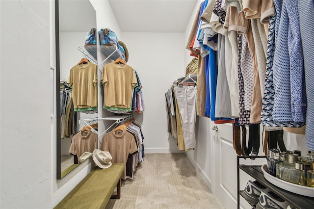 10036 Beachwalk Dr, Englewood, FL 34223 - spacious closet with carpet floors