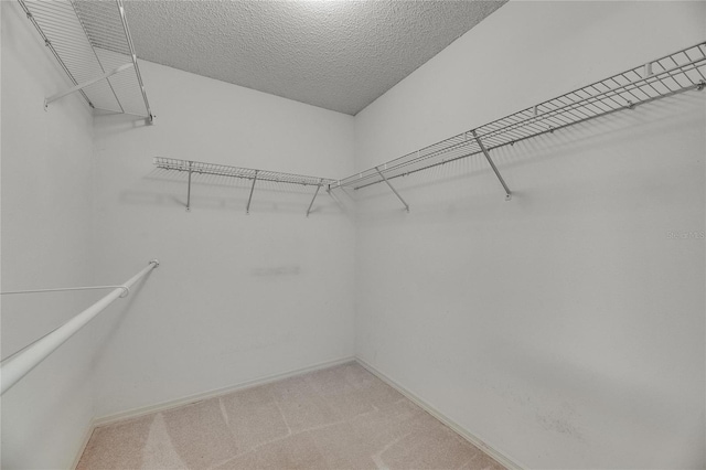 746 Masterpiece Dr, Sun City Center, FL 33573 - walk in closet with light colored carpet