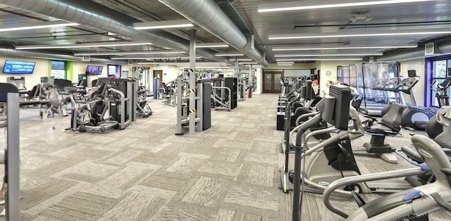 746 Masterpiece Dr, Sun City Center, FL 33573 - workout area featuring carpet flooring
