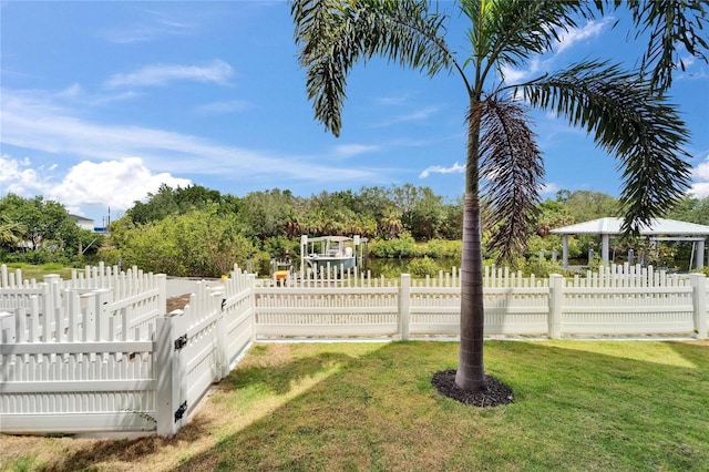 6520 Simone Shores Cir, Apollo Beach, FL 33572 - view of yard