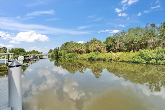 6520 Simone Shores Cir, Apollo Beach, FL 33572 - water view featuring a dock