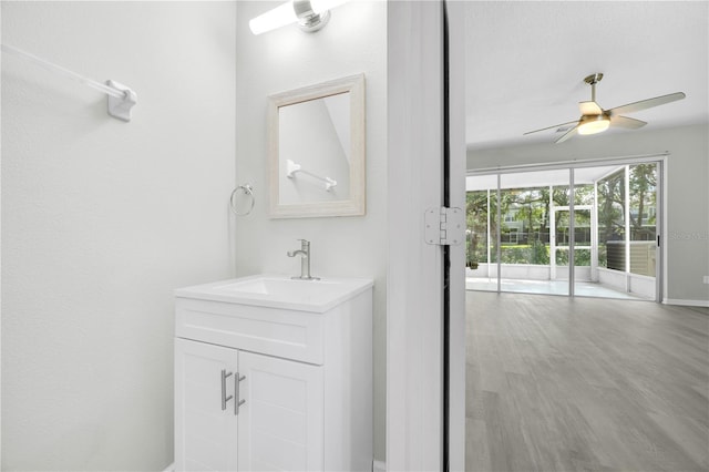 4910 Chatham Gate Drive Dr, Riverview, FL 33578 - bathroom featuring vanity, ceiling fan, and wood finished floors
