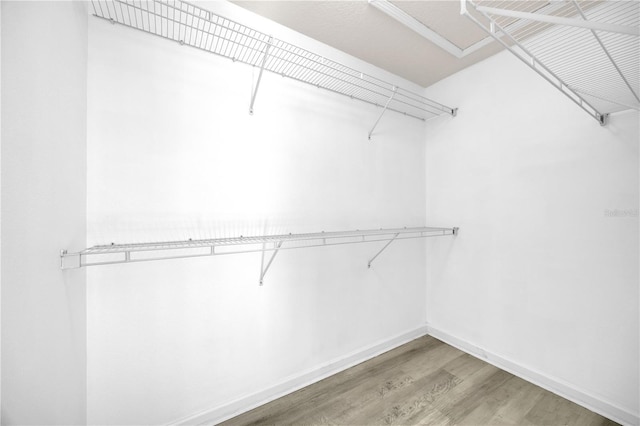 4910 Chatham Gate Drive Dr, Riverview, FL 33578 - walk in closet with wood finished floors