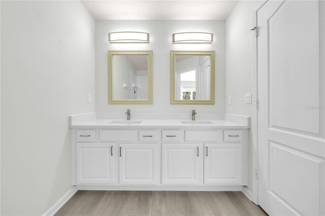 4910 Chatham Gate Drive Dr, Riverview, FL 33578 - bathroom featuring double vanity, wood finished floors, and baseboards