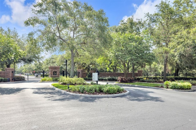 4910 Chatham Gate Drive Dr, Riverview, FL 33578 - view of asphalt street featuring curbs, a gated entry, and a gate