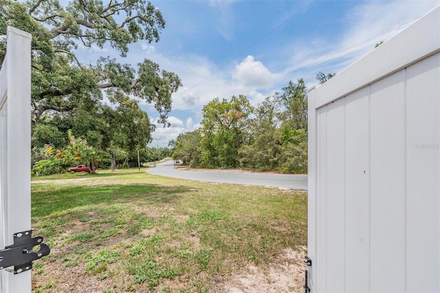 5540 Applegate Dr, Spring Hill, FL 34606 - view of green lawn