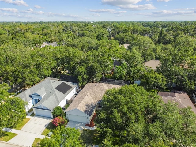 6918 Potomac Cir, Riverview, FL 33578 - drone / aerial view of a forest