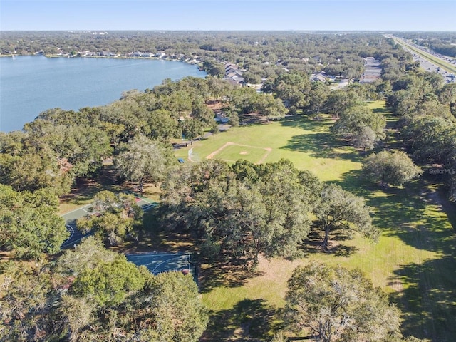 6918 Potomac Cir, Riverview, FL 33578 - view of property location featuring a nearby body of water and a forest