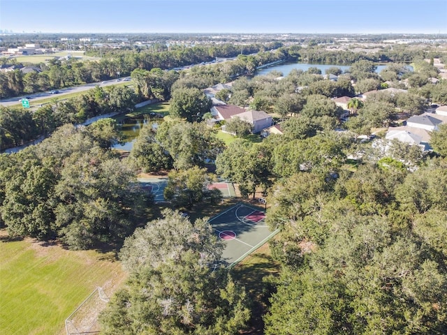 6918 Potomac Cir, Riverview, FL 33578 - view of property location featuring a large body of water and a tree filled landscape