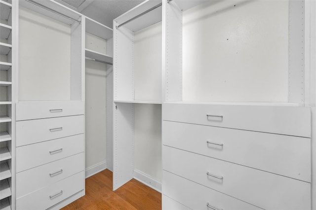 3041 Oak View Dr, Palm Harbor, FL 34684 - spacious closet featuring light wood-type flooring