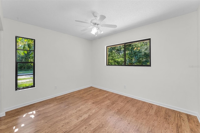 3041 Oak View Dr, Palm Harbor, FL 34684 - empty room featuring baseboards, light wood finished floors, and ceiling fan