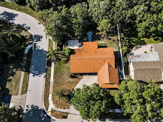 3041 Oak View Dr, Palm Harbor, FL 34684 - view from above of property