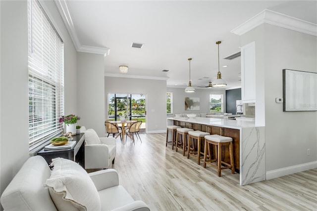 8518 Tidal Bay Ln, Tampa, FL 33635 - living area with plenty of natural light, light wood finished floors, baseboards, crown molding, and ceiling fan