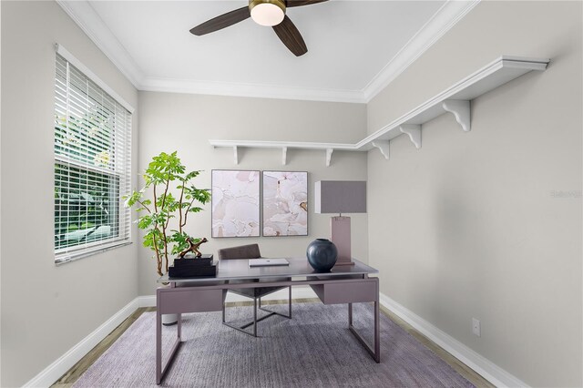 8518 Tidal Bay Ln, Tampa, FL 33635 - office featuring wood finished floors, ceiling fan, baseboards, and crown molding