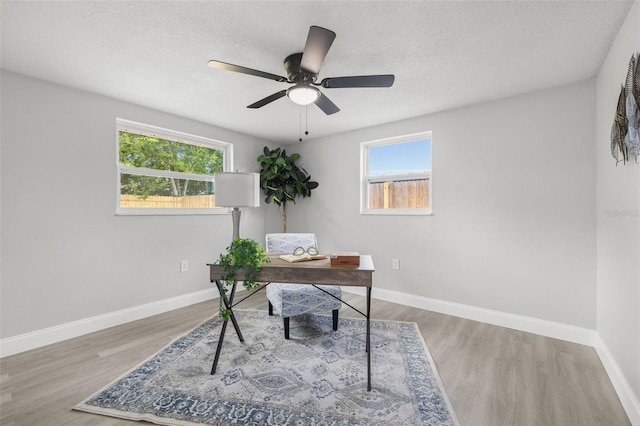 6804 Tierra Verde St, Port Richey, FL 34668 - office with ceiling fan, wood finished floors, baseboards, and a textured ceiling