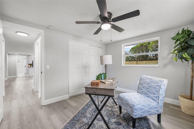 6804 Tierra Verde St, Port Richey, FL 34668 - office with light wood-type flooring, a ceiling fan, baseboards, and a textured ceiling