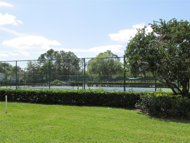 18504 Country Crest Pl, Tampa, FL 33647 - photo 53