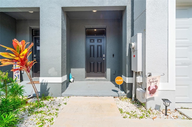 2925 Evergreen Elm Pass, Wesley Chapel, FL 33543 - view of exterior entry with stucco siding and a garage