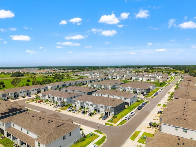 2925 Evergreen Elm Pass, Wesley Chapel, FL 33543 - drone / aerial view
